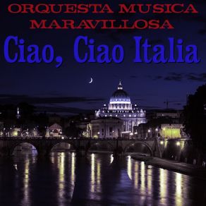 Download track Canzone Per Te Orquesta Música Maravillosa