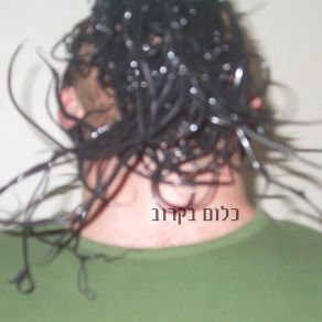 Download track את אהבת חיי אריאל קליינר