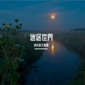 Download track 寂寞的夜晚 消失的大樱桃