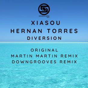 Download track Diversion (Downgrooves Remix) Hernan TorresDowngrooves