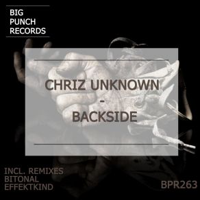 Download track Backside (Original Mix) Chriz Unknown