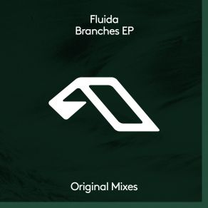 Download track Awaken (Extended Mix) Fluida