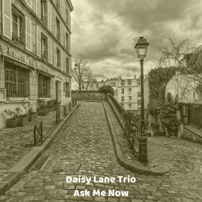 Download track Ask Me Now Daisy Lane Trio