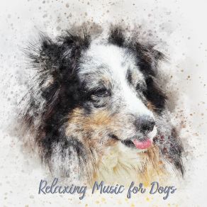 Download track Mountains Away Dog Calming Music