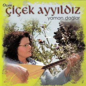 Download track Metine Agit (Metinim Metin) Ozan Çiçek Ayyıldız, Cicek Ayyildiz