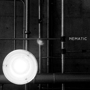 Download track Theory Of Gravity Nematic