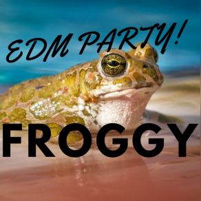 Download track Foam Party Digilio EDM