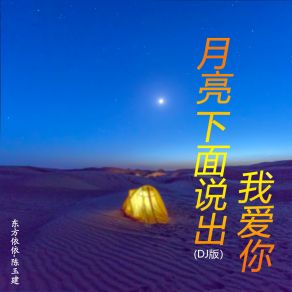 Download track 月亮下面说出我爱你 (DJ版铃声) 陈玉建