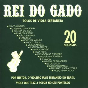 Download track Viola Cabocla Nestor Da Viola