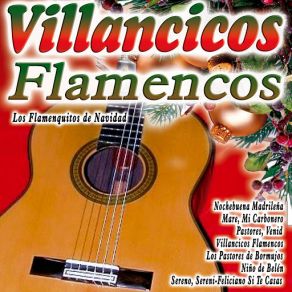 Download track Villancicos Del Café De Chinitas Los Flamenquitos De Navidad