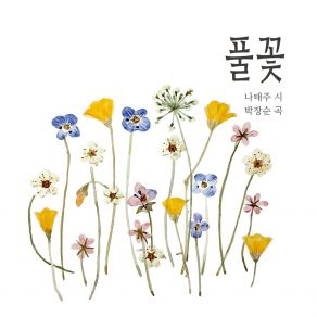 Download track Grass Flower 박장순