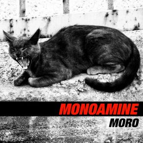 Download track Moro Monoamine