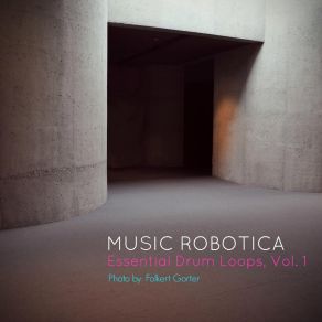 Download track Shanghai Music Robotica