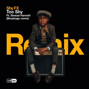 Download track Too Shy (Breakage Remix) Shy FX, Sinead Harnett