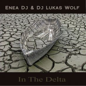 Download track In The Delta (Acid Afro Remix) DJ Lukas WolfEnea DJ