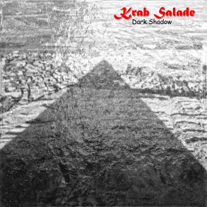 Download track Dark Shadow (Re X Tro Mix) Krab Salade