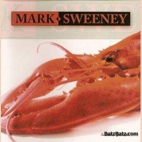 Download track Singing For You Mark Sweeney