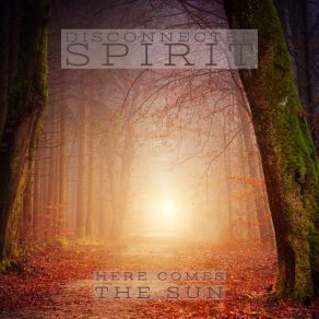 Download track Here Comes The Sun Disconnected Spirit