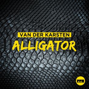 Download track Alligator (Single Edit) Van Der Karsten