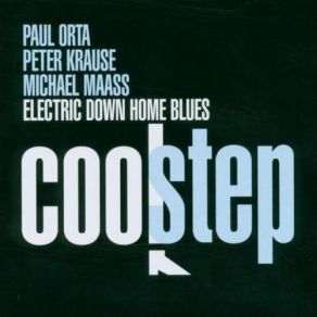 Download track Houston Boogie Peter Krause, Paul Orta, Michael Maass