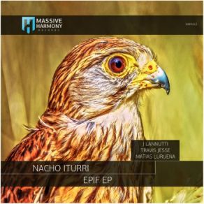 Download track Epif (Matias Lurueña Remix) Nacho Iturri