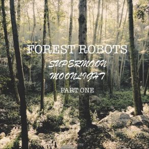 Download track By The Stillness Of The Lake Forest Robots