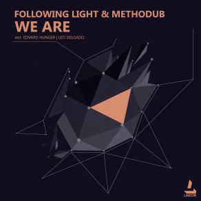 Download track We Are (Original Mix) Following Light, Methodub