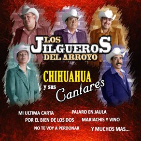 Download track No Te Voy A Perdonar Los Jilgueros Del Arroyo