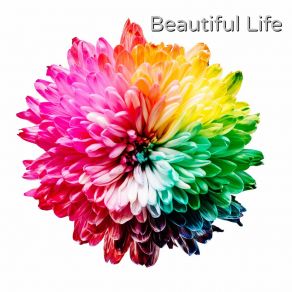 Download track Beautiful Life Action Alexi