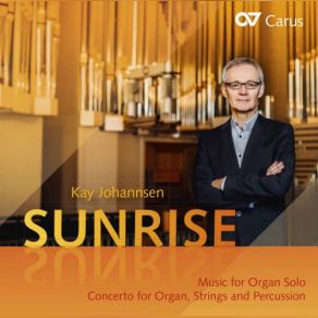 Download track Organ Concerto: III. Animato E Scherzando Kay JohannsenStuttgart Stiftsphilharmonie