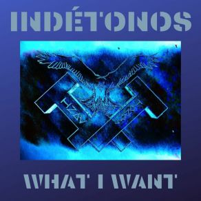 Download track What I Want Reprise (Remix) Indétonos