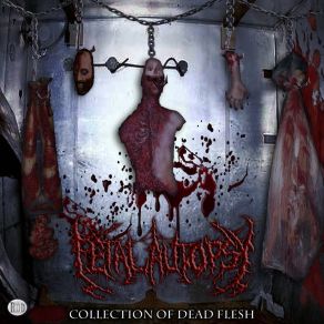 Download track Insidious Torment Fetal Autopsy