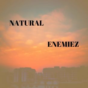 Download track Bambelela Natural Enemiez