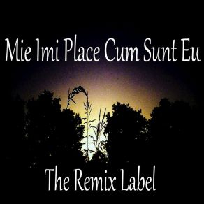 Download track Mie Imi Place Cum Sunt Eu (VOCE Acappella DJ Tool) Afirmatii Pozitive