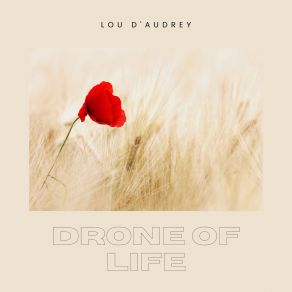 Download track Droning Lou D'Audrey