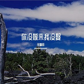 Download track 你没嫁来我没娶 张鲁辰