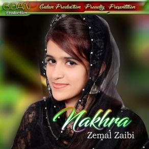 Download track Baz Wafa Matlabi Zeemal Zaibi