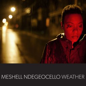 Download track Don'T Take My Kindness For Weakness Meshell Ndegeocello