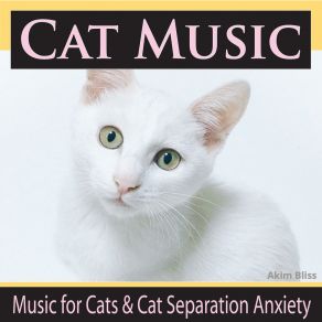 Download track Purrrfect Music For Cats Akim Bliss