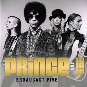 Download track Something In The Water (Does Not Compute) [Excerpt] Prince