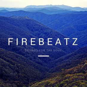 Download track Space Jungle (Edit Versión) Firebeatz