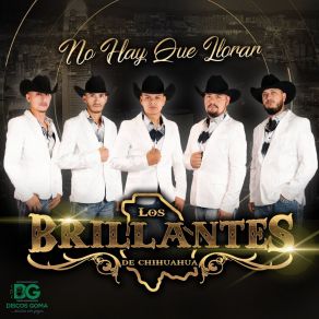 Download track Mis Tres Animales Brillantes De Ojinaga