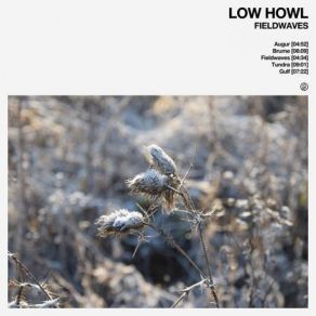 Download track Brume Low Howl