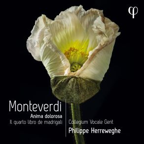 Download track Monteverdi: Il Quarto Libro De Madrigali: IX. Voi Pur Da Me Partite, Anima Dura, SV 83 Collegium Vocale Gent Philippe Herreweghe