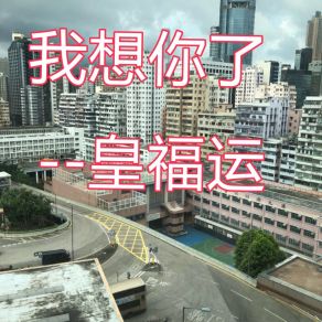 Download track 我想你了 皇福运