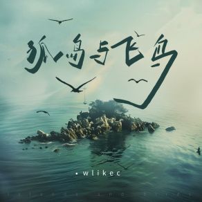 Download track 孤岛与飞鸟 Wlikec