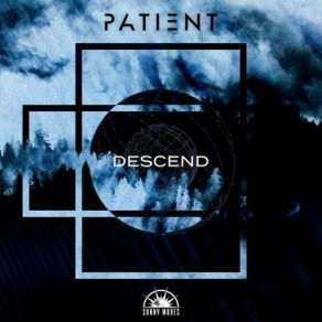 Download track Stillness In Madness Patient, Patient Patient