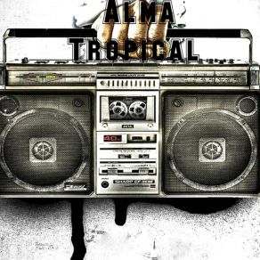 Download track Traicionera Dj Cumbero