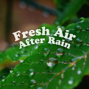 Download track Rain Harmony, Pt. 21 Rain Storm Sample Library