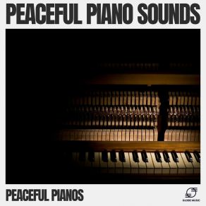 Download track Window Raindrops Peaceful Pianos